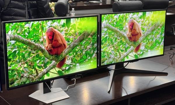 最适合玩游戏的显示器推荐CQ9电子有限公司10款(图1) 最适合玩游戏的显示器推荐CQ9电子有限公司10款(图1)